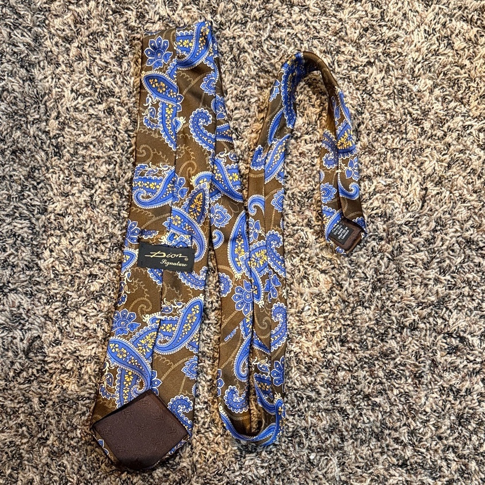 Dion Elegant Brown and Blue Paisley Tie